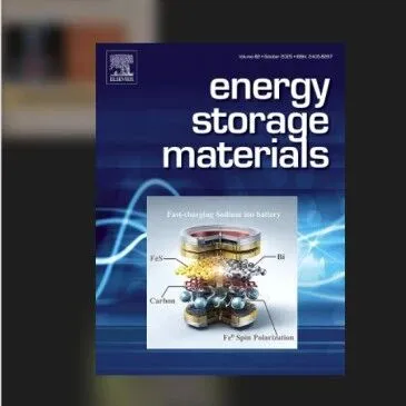 2024年度Energy <em>Storage</em> Materials获奖名单公布！