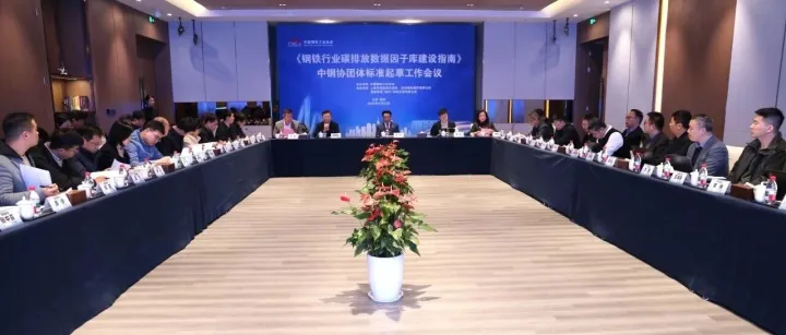 《钢铁行业碳排放数据因子库建设指南》起草工作在南钢启动