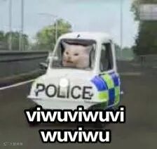 POLICE VIWUVIWUV WUVIWU (猫咪出警表情包)