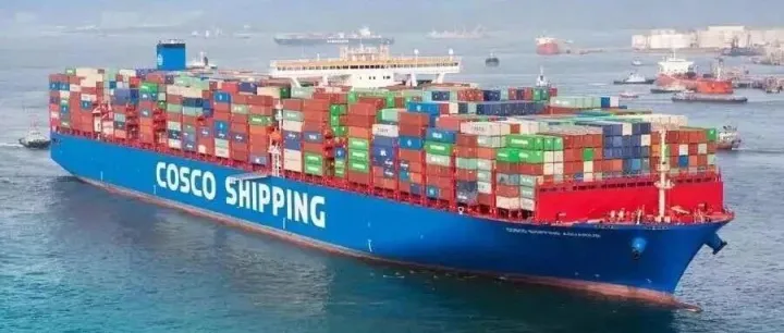 行业专项清关指南：外贸海运链路中的差异化监管观察