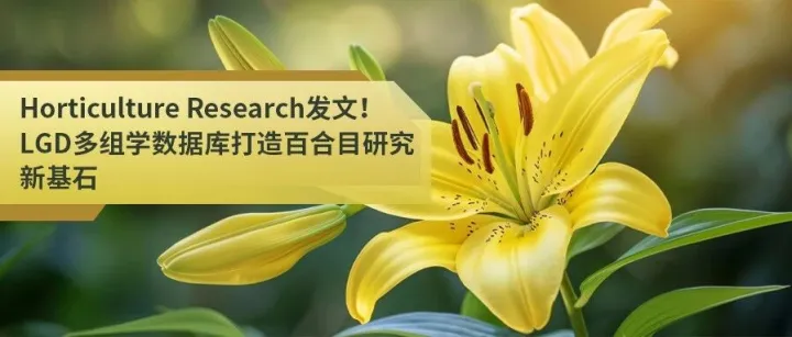 LGD多组学<em>数据库</em>打造百合目研究新<em>基石</em>