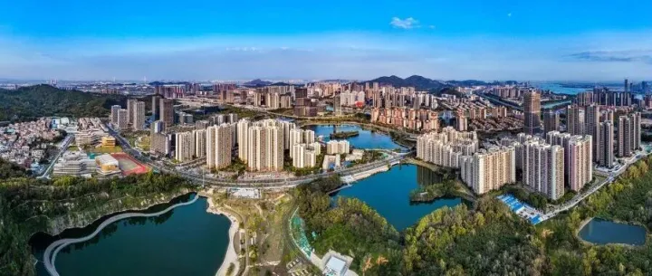 推动科技成果高效转化！全国技术经理人云集南沙