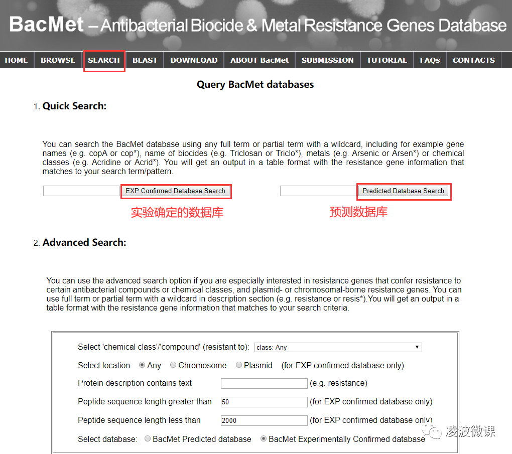 凌波微课|BacMet：抗菌杀生物剂和金属抗性基因在线注释- 大数跨境