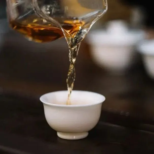 说 茶 | 一杯温润茶，驱散寒与湿