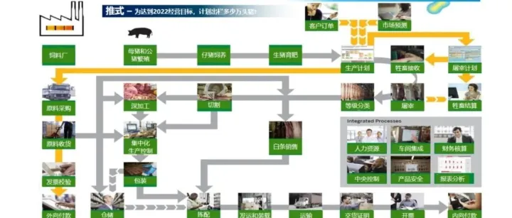 详解端到端流程9：农牧企业数字化中的四条端到端流程，附案例