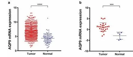 生信复习，GEO数据差异分析！
