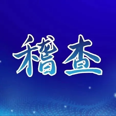 以“<em>代理</em>记账<em>合作</em>”之名行虚开之实被税务局稽查！