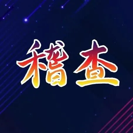 借助招商引资平台大量注册空壳个体户虚开发票案被侦破