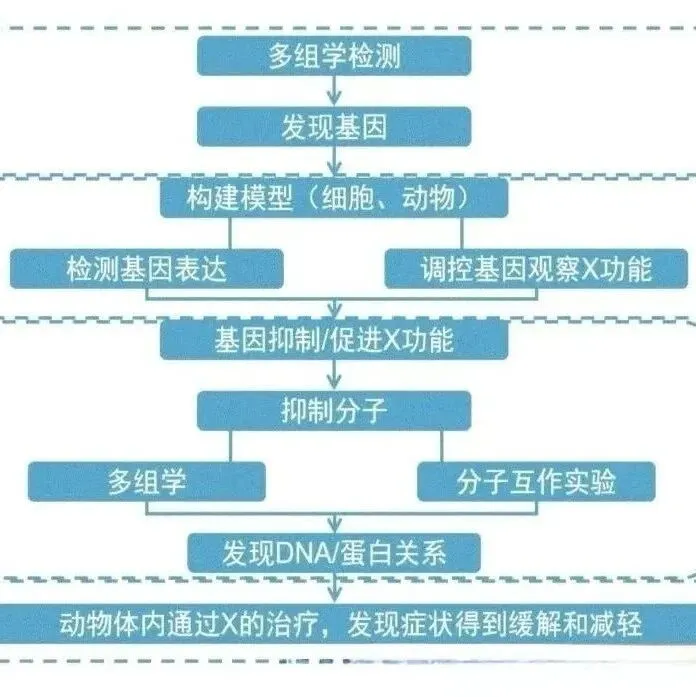 一文搞定分泌蛋白的研究思路！