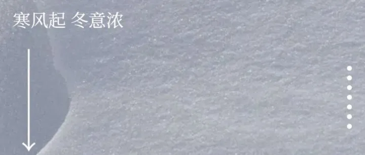 11月四大节点引爆品牌热度