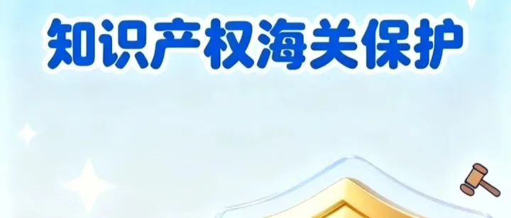 【知识产权保护】 知识产权海关保护备案知多少（被动保护篇）