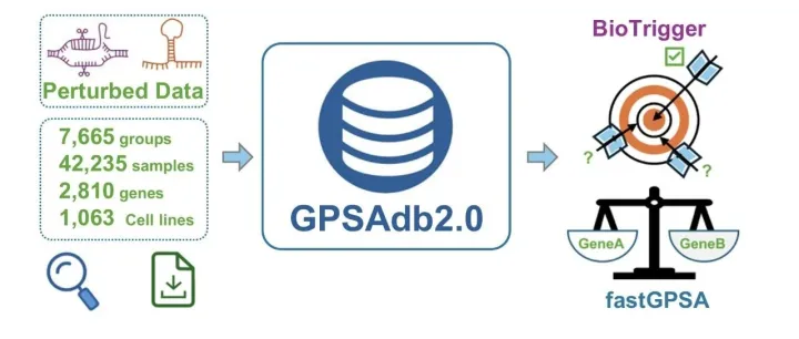 这个免费<em>数据库</em><em>直接</em>把分析效率拉满