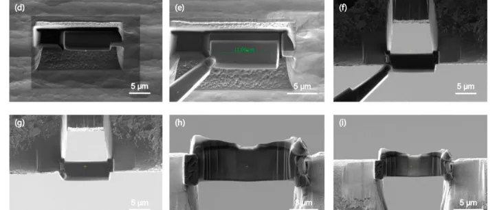 聚焦离子束（FIB）精品直播课