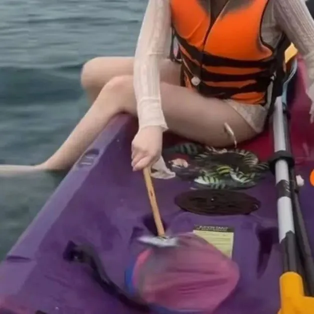 普吉岛中国游客捞鱼取乐引争议！泰国网友质，要求官方调查