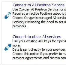 Oxygen XML Editor 28.0 新功能（一）