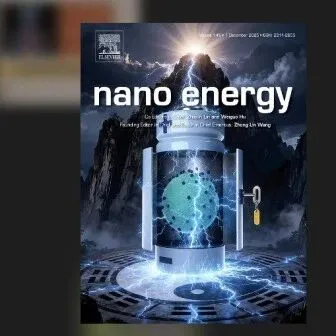 2025年度Nano Energy Awards获奖人名单揭晓！