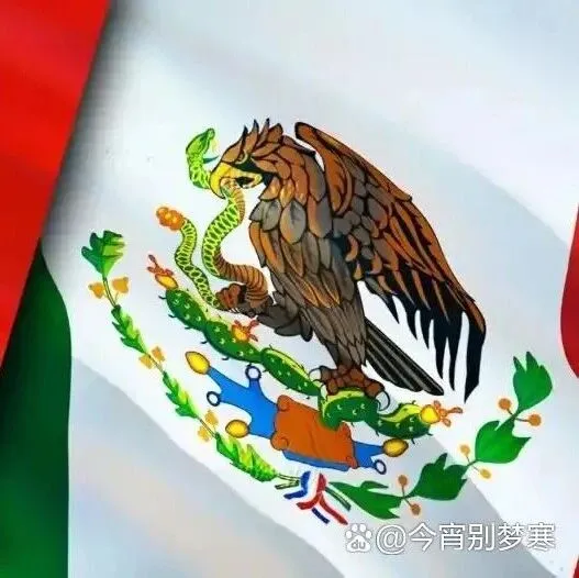 墨西哥对中国1463种产品加征关税！税率最高50%