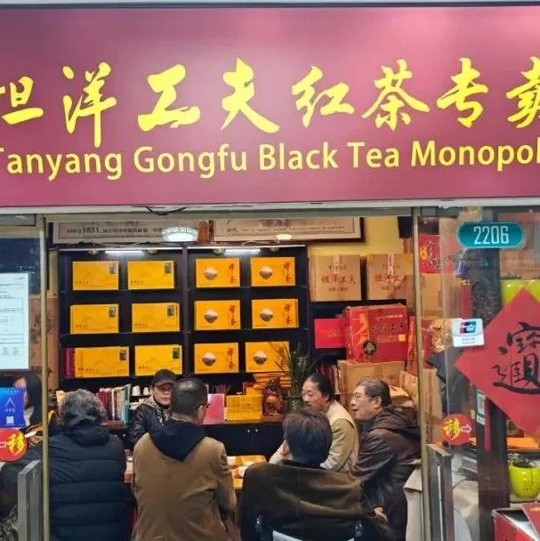 说 茶 | 坦洋工夫红茶，检测报告显价值