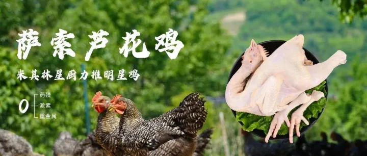 益百汇【甄选上新】推荐——米其林星厨力推明星鸡·萨索芦花鸡