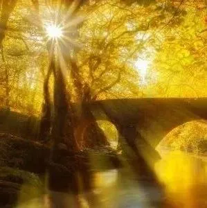 新型生物源杀虫剂双丙环虫酯在国内的活性、防效和复配研究进展