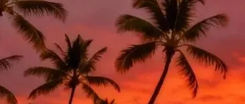 昶嘉捷小课堂|国内开美国银行个人户，2025年最新攻略！国泰银行、Axos Bank手把手教学