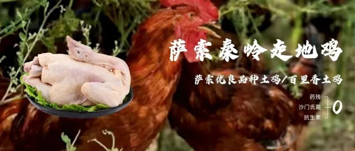益百汇【甄选上新】推荐——品地道山野美味·选‌萨索秦岭走地鸡