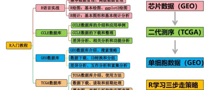如何从公共数据出发，形成一篇完整的研究论文？推荐收藏！