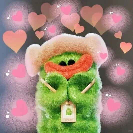 双12特别心意｜小语种录播课买一赠一，直播课免费升级