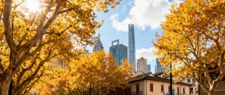 江苏ODI备案政策又变了？老板们如何抓住新机遇，省钱又合规！