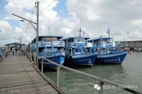 2015 泰国沙美岛攻略Samet (沙美岛在芭提雅附近)