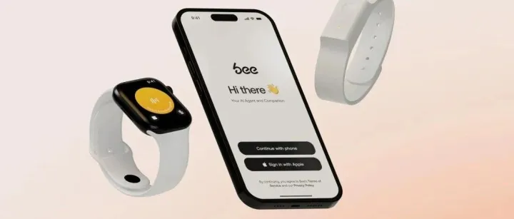 AI可穿戴抢疯了！ 连选品都要把AI焊在身上了吗？