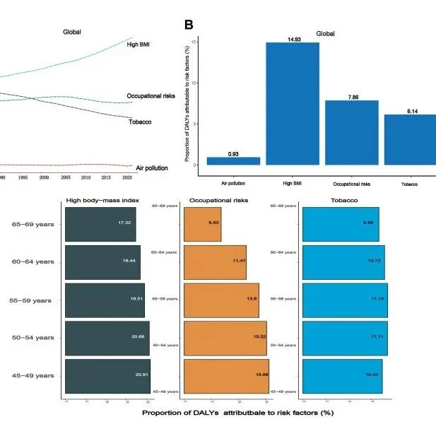 【IF=9.6 一区】“GBD+CHARLS+NHANES”三大数据库联合轻松拿下高分SCI,抓紧上车吧！