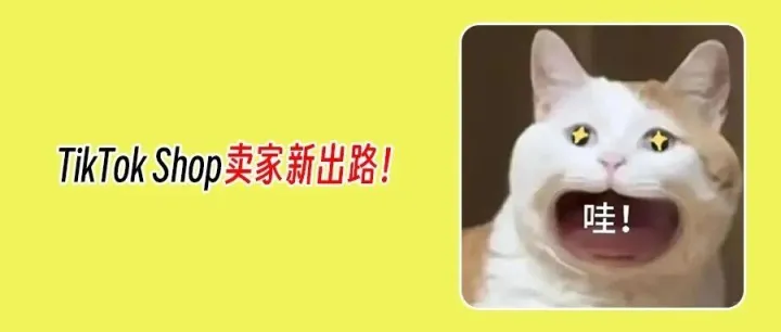 TikTok Shop变局：欧洲佣金暴涨<em>至</em>9%，<em>东南亚</em>却开“0元试运营”？