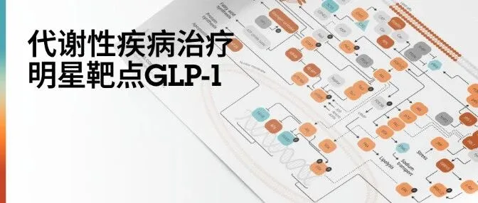 GLP-1“浓度显微镜”+“体感温度计”=揭示PK/PD方法差异关键（下篇）