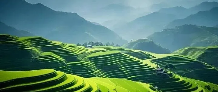 晋城大型农批市场项目落地——柠檬豆开创 “数字化建设” 到 “产业赋能” 新格局！