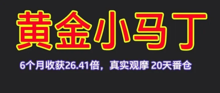 #黄金小马丁，一个月翻仓