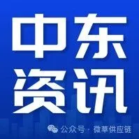 年终<em>大</em><em>促</em>三连击：中东<em>电</em><em>商</em>热闹出圈