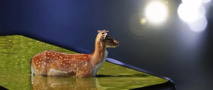 当跨境电商谈AI，是在谈什么？