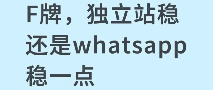 仿牌渠道生死抉择：独立站还是WhatsApp？