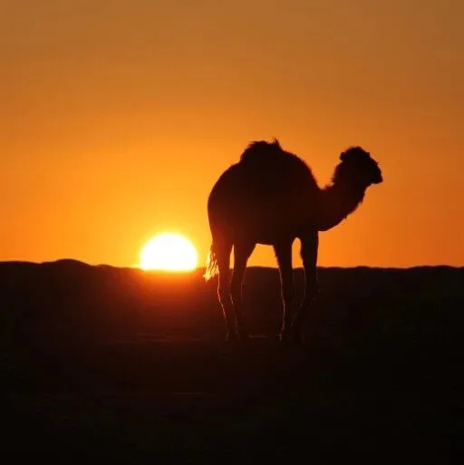 风险提示:请相关企业防范对非洲出口采金设备