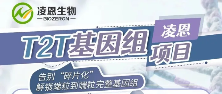 T2T基因组，告别“<em>碎片</em>化”