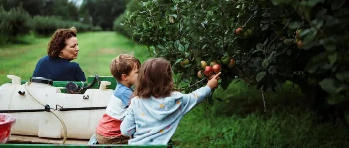 TikTok Shop明年1月大幅提高欧洲五国佣金/Ozon哈萨克斯坦站推出FBO模式/泰国电商三强竞争加剧