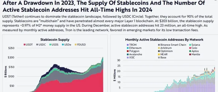 D155 稳定币的风险防控与监管实践