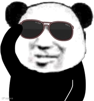 熊猫头戴墨镜流泪 GIF 动图表情包