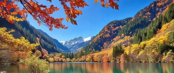 亚马逊Rufus到底是什么？