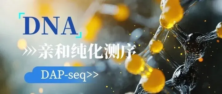 转录因子研究必看——TF-DNA互作研究新方式