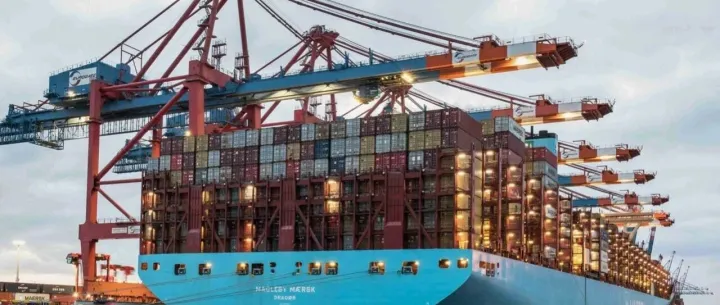 海运快船与慢船时效差异多大