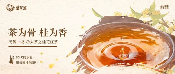益百汇精选推荐——无俩一龙·功夫茶之桂花红茶，提神又养胃
