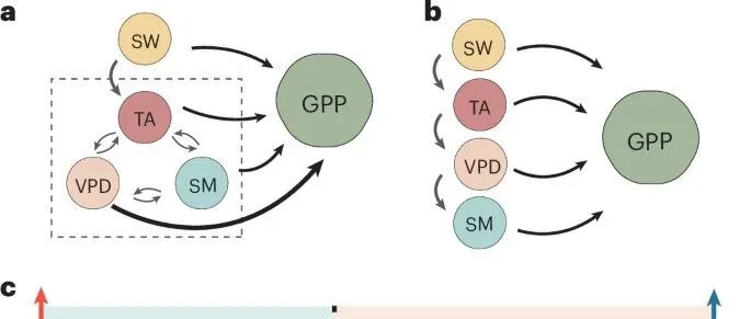 Nat. Plants | 全球变暖下，土壤湿度与大气干燥度如何影响生态系统光合作用？