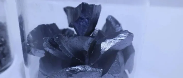 “多晶硅<em>平台</em><em>公司</em>”股东名单披露，这两家<em>公司</em>合计持股近50%